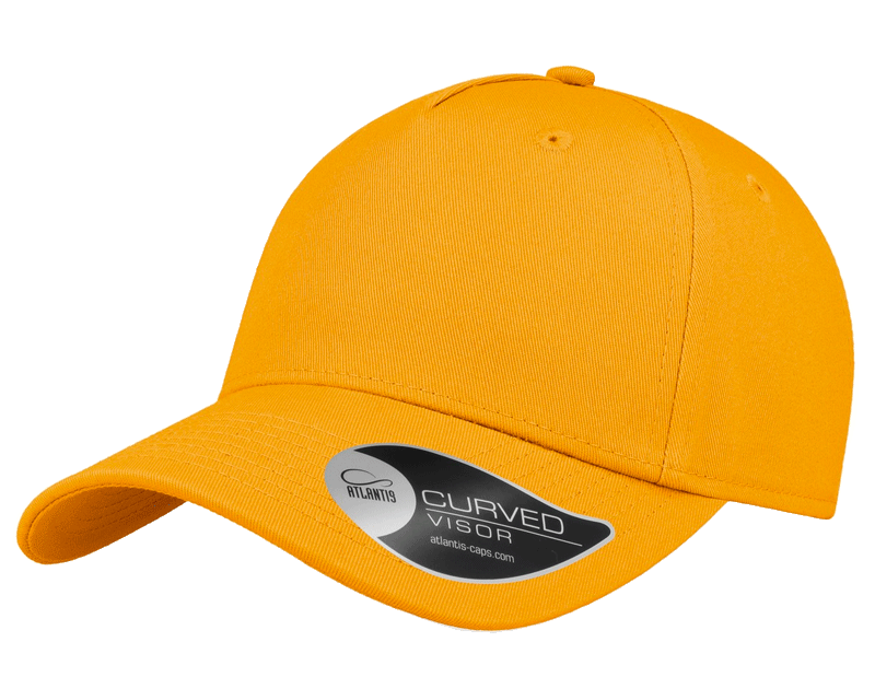 Atlantis Shot Structured 5 Panel Curved Peak Cap | Design By Creative Ltd